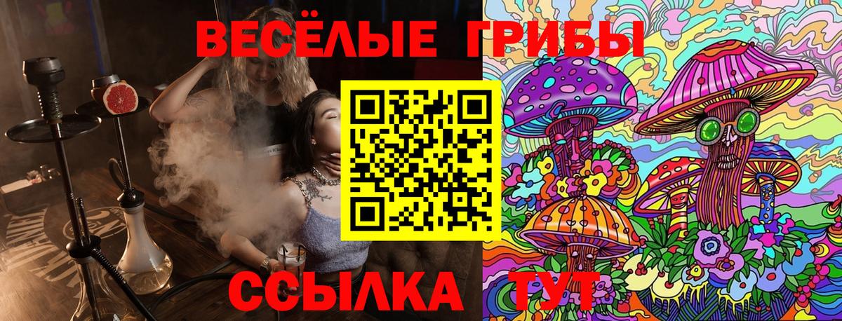 Волжск  хочу наркоту  Вход с VPN  Псилоцибиновые грибы Psilocybine cubensis 