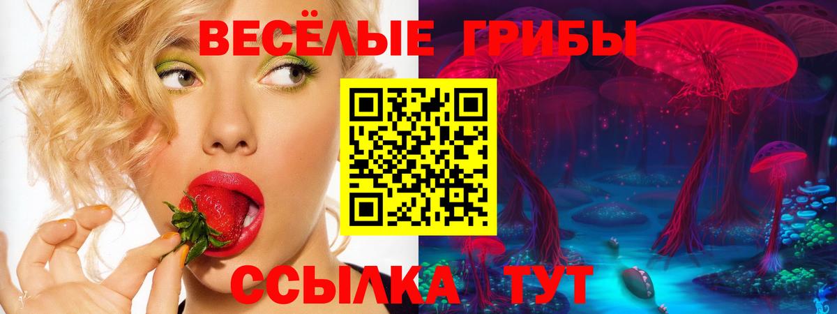 Псилоцибиновые грибы ЛСД Волжск
